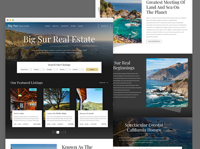 BigSur Real Estate Redesign design landing page minimal modern real estate