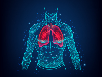 LUNGS by Nadia Mykhailiuk on Dribbble