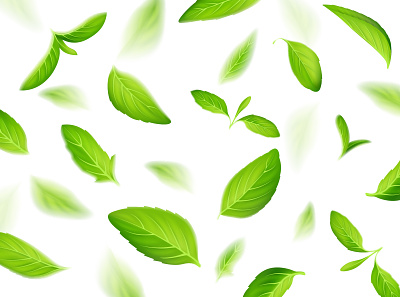 Mint tea background fresh green icon illustraion illustrator leaf leaves mint pattern spring summer tea vector