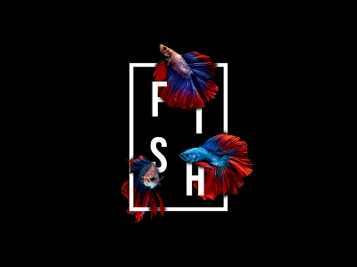Fish Typography design fish typography