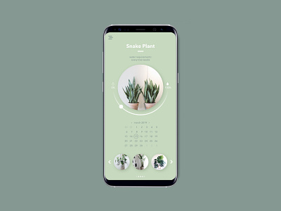 plant watering app app design clean clean app design clean ui design coloful daily ui design flat icon icon design interface interface design minimalism minimalistic typography ui uidesign ux vector