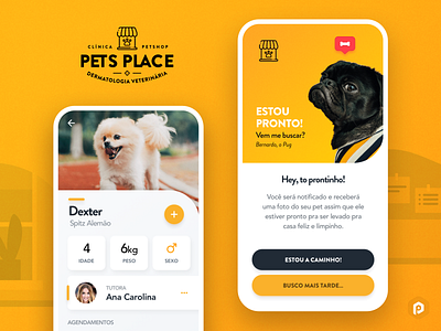 Pet’s Place - Branding & Vet App Concept app branding dog interface mobi mobile mobile app pet petstore pug spitz ui ui design uiux user vet veterinary yellow