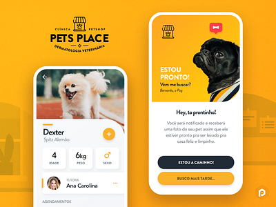 Pet’s Place - Branding & Vet App Concept