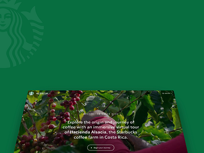 Starbucks Coffee Experiences coffee coffee farm costa rica immersive interactive matterport starbucks tour virtual reality virtual tour vr webdesign