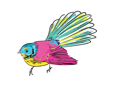 Fantail Illustration awesomesauce bird colourful fantail illustration new zealand