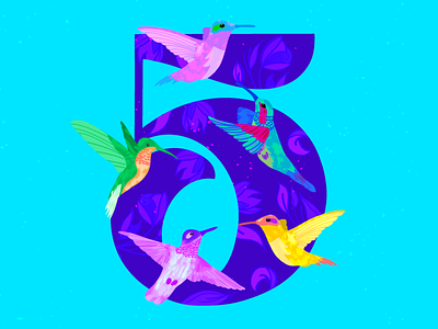 5 ~ Cinco colibríes 36days 5 36daysoftype 36daysoftype08 5 birds cinco hummingbird illustration procreate