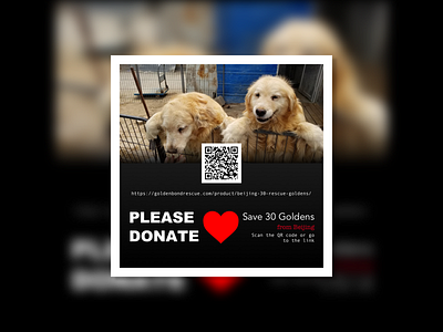30 Goldens fundraising poster dog fundraising golden retriever poster