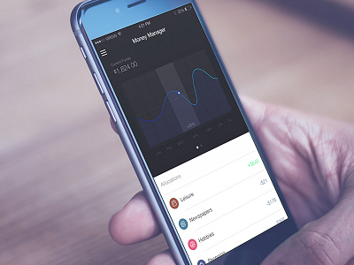 Money Manager 6 chart interface ios8 iphone manager ui wallet yuhan