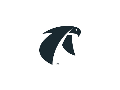 Bird in Flight (rebound) animal bird corporate design eagle gul hawk icon identity logo