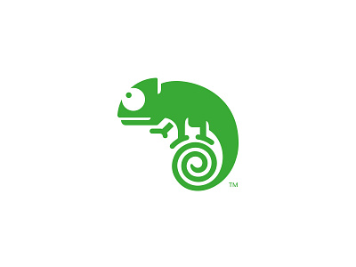 Daddy Chameleon! branding chameleon design lizard logo mark spiral