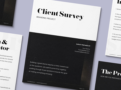 Client Survey | Branding Project branding business contract freelance freelance design logo