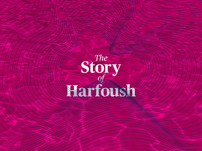 The Story of Harfoush