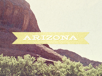 Arizona arizona lonestar yellow photo