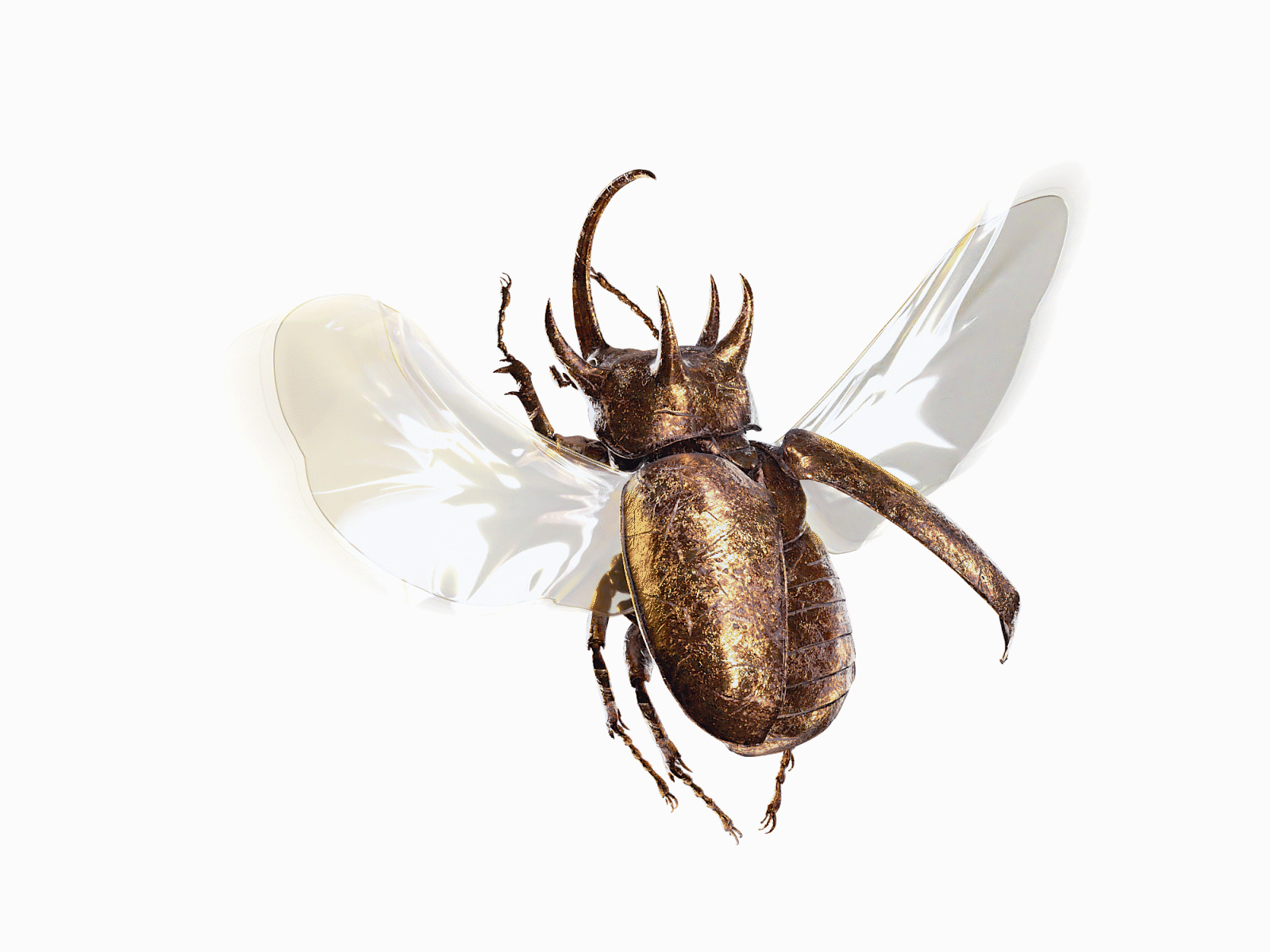 Golden beetle 3d animation 3d art bug gold