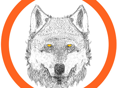 Wolf illustration photoshop wolf