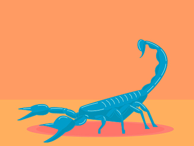 Scorpion animal illustrator scorpion vector