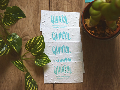 Quintal Seed Card art direction branding brasil brasilidade culture social visual identity