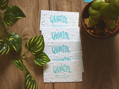 Quintal Seed Card