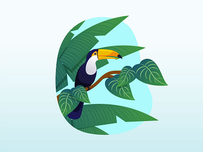 Tropical bird animal bird brazil fauna flora leaf nature palm summer toucan tropical