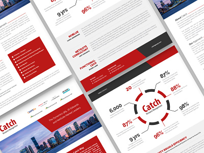 Catch Group – Infosheets branding data design flat infographic logo print type vector web design
