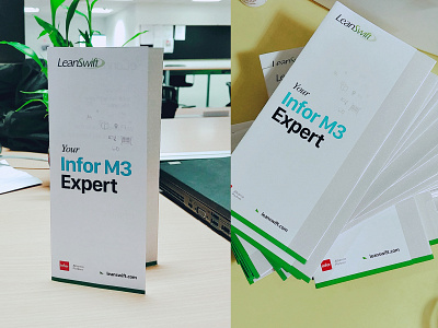 Your Infor M3 Expert - Tri-Fold Brochure