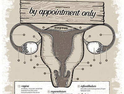 By Appointment Only (Snippet) activism calligraphy design feminism hand lettering illustration lettering poster design pro choice reproductive rights typography