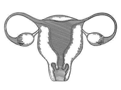 Work in Progress: By Appointment Only ovaries pro choice reproductive justice uterus vagina