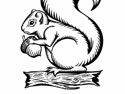 Squirrel! acorn illustration line art linocut procreate shading squirrel wood wood cut