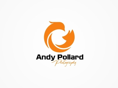 Andy Pollard Photography 3 branding design illustration logo logo design logo design branding professional logo sophisticated logo typography vector