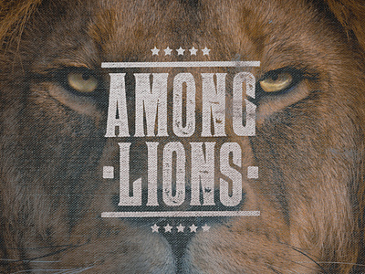 Among Lions Sermon Series