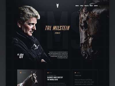 TMS - Homepage ( teaser 02 ) hellowiktor horses rider tal milstein stables tms web