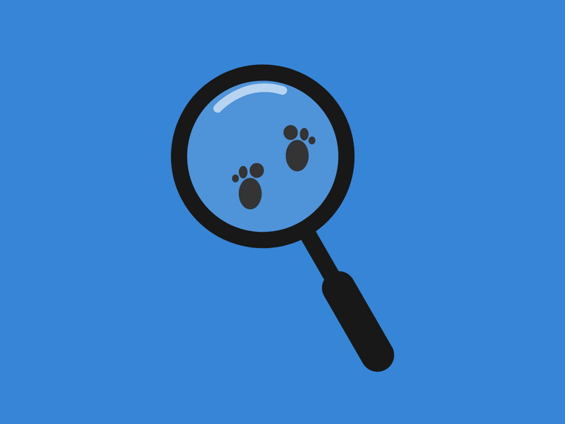Searching footprint 2d animation animation animation 2d illustration motion graphics svg animation