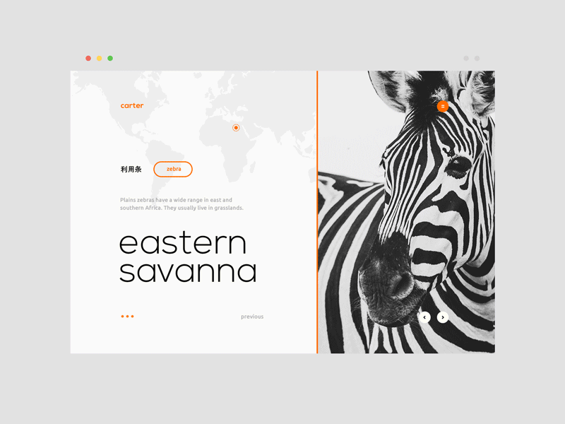 carter design inspiration interaction landing page layout orange popup ui ux web design zebra