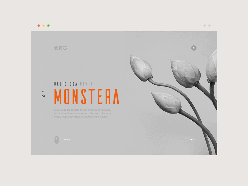 monstera deliciosa article blog grid landing page layout plant shop ui ux web web design website