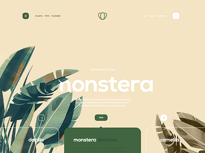 Monstera clean design flower green landing page layout navigation store ui ux web website