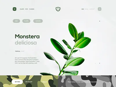 Deliciosa camo clean design flower landing page layout plant shop ui ux web website