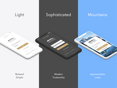 Mobile Banking App - Login Design Options