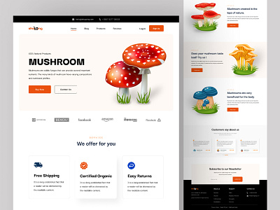 Online Mushroom Landing Page with Development