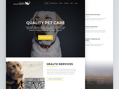 Indian Peaks Veterinary Hospital Homepage animals blog dogs pets ui user interface veterinary visual design web design webdesign wordpress