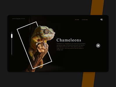 AnimalLandscapes WebPage UI app branding design dribble illustration landingpage ui uidesign ux uxdesign web design webpage