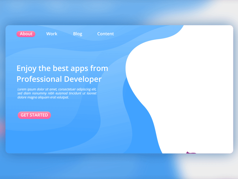 Professional Developer Illustration