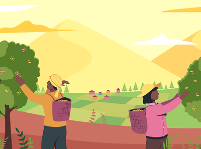 south America Coffee pickers in wide nature mountain landscape coffee coffee pickers concept custom illustration design illustrator flat flat design illustration illustration art vector