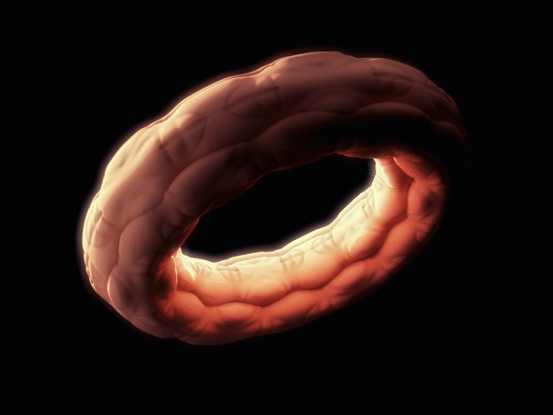 Ab Infinitum: Ring 3d abdomen body cinema4d form infinity render ring shadow skin