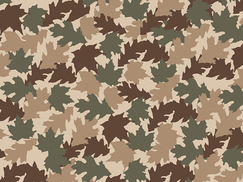 Fall camo pattern by Arthur Chayka on Dribbble