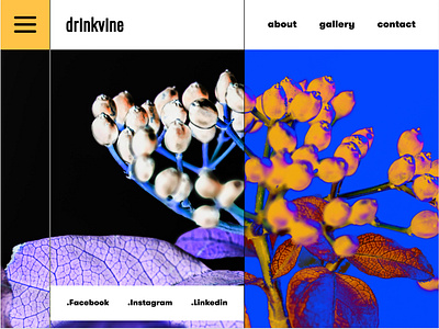 DrinkVine Landing Page design interface minimal ui ux web website