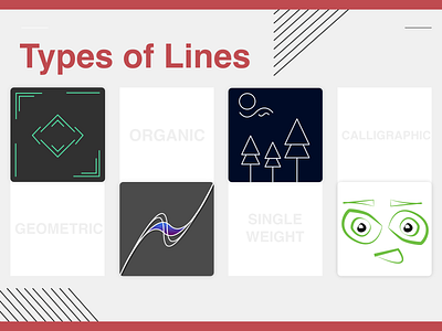 Types of Lines design illustration vector