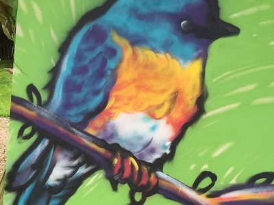 Bluebird with Spray Paint bluebird spray paint