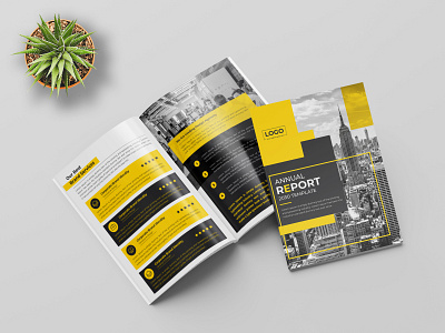 Annual Report Or Corporate Brochure Design