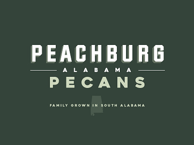 Peachburg Pecans branding design logo