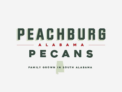 Peachburg Pecans branding design logo